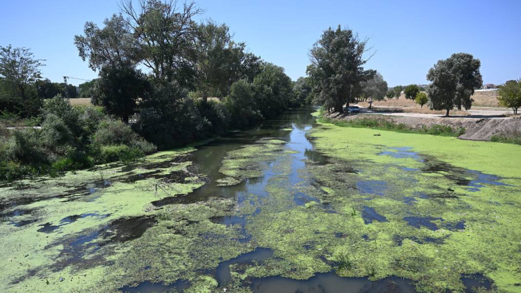 Su yüzeyi plastik atık ve sazlıklarla kaplanmıştı: Yetkililer alarma geçti 2